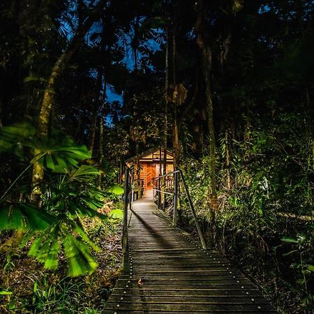 Daintree Wilderness Lodge Exterior photo