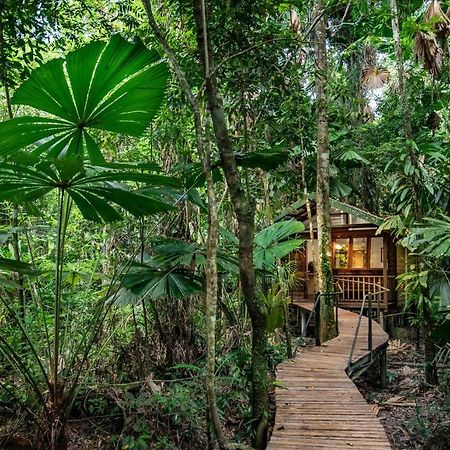 Daintree Wilderness Lodge Exterior photo