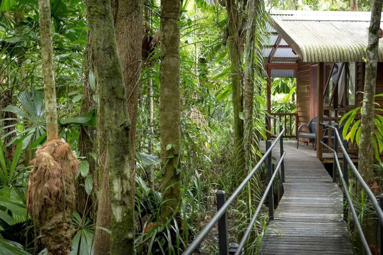 Daintree Wilderness Lodge Exterior photo
