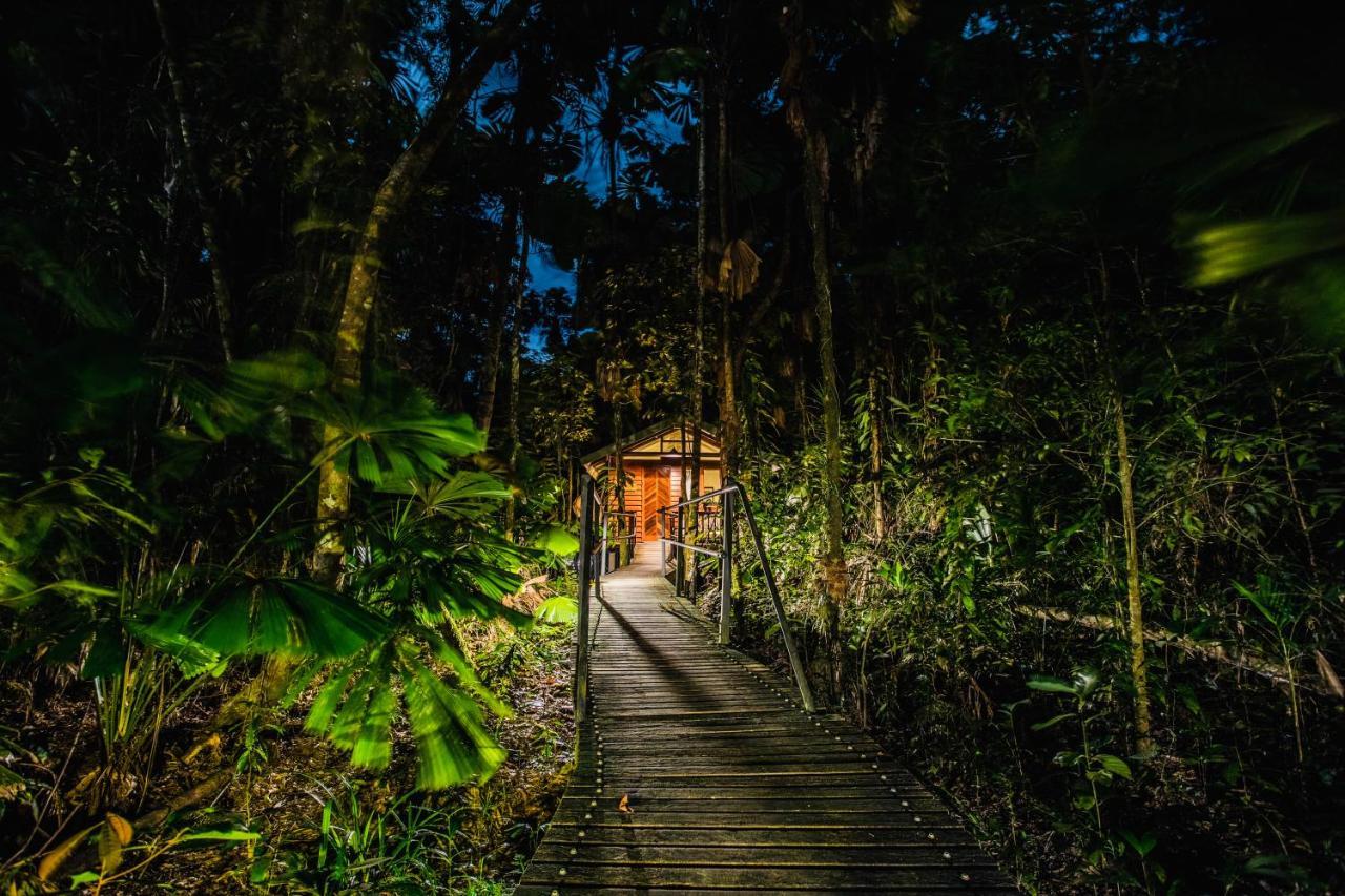 Daintree Wilderness Lodge Exterior photo