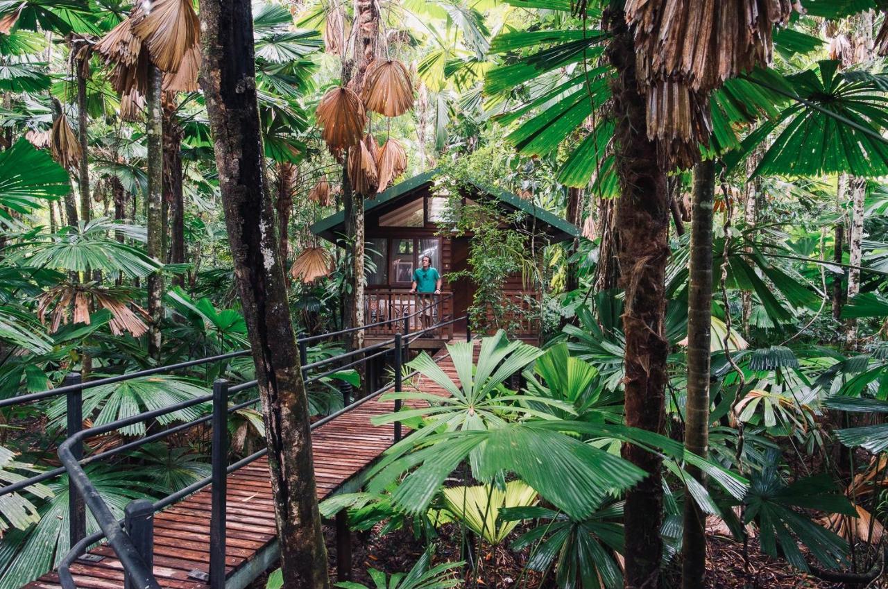 Daintree Wilderness Lodge Exterior photo