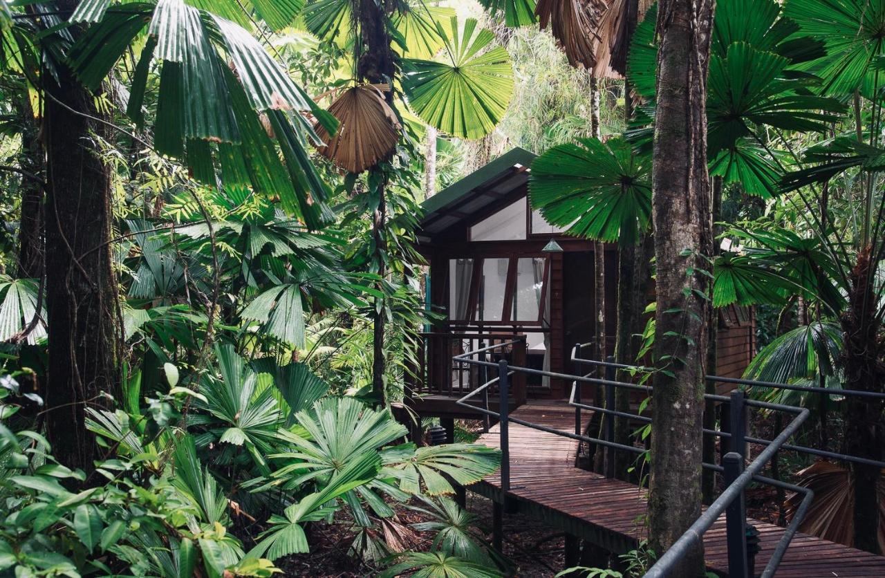 Daintree Wilderness Lodge Exterior photo