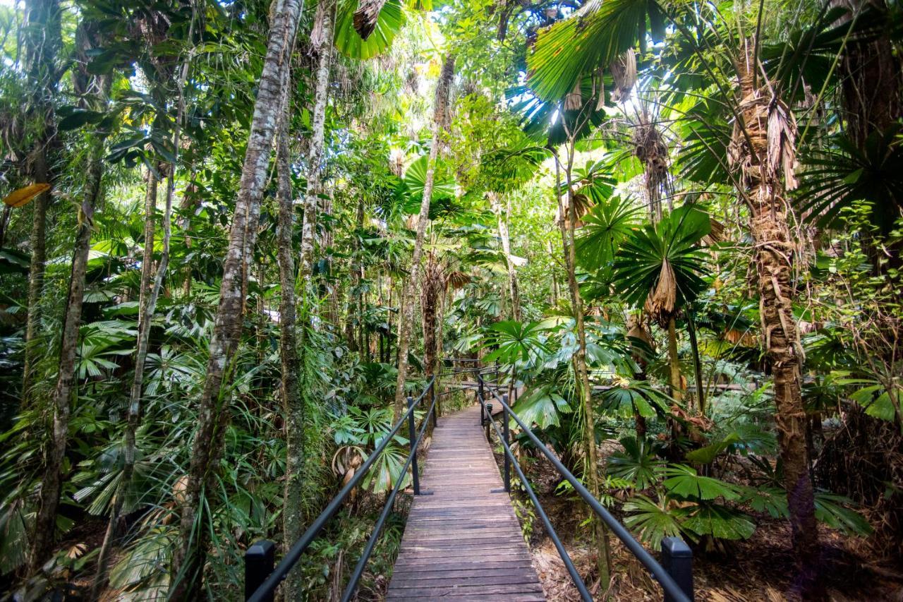 Daintree Wilderness Lodge Exterior photo