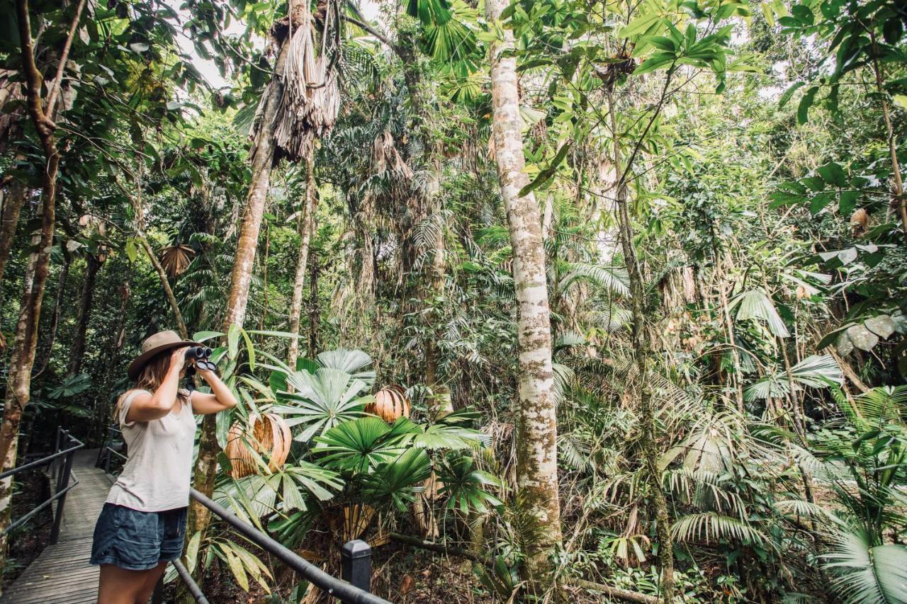 Daintree Wilderness Lodge Exterior photo