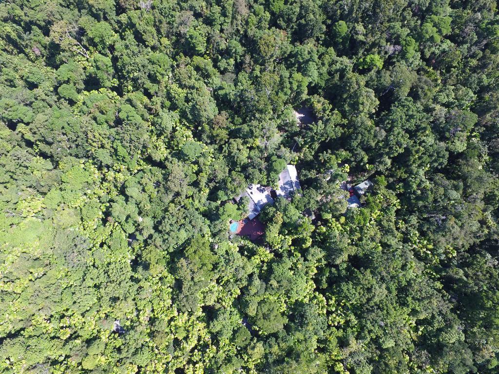 Daintree Wilderness Lodge Exterior photo