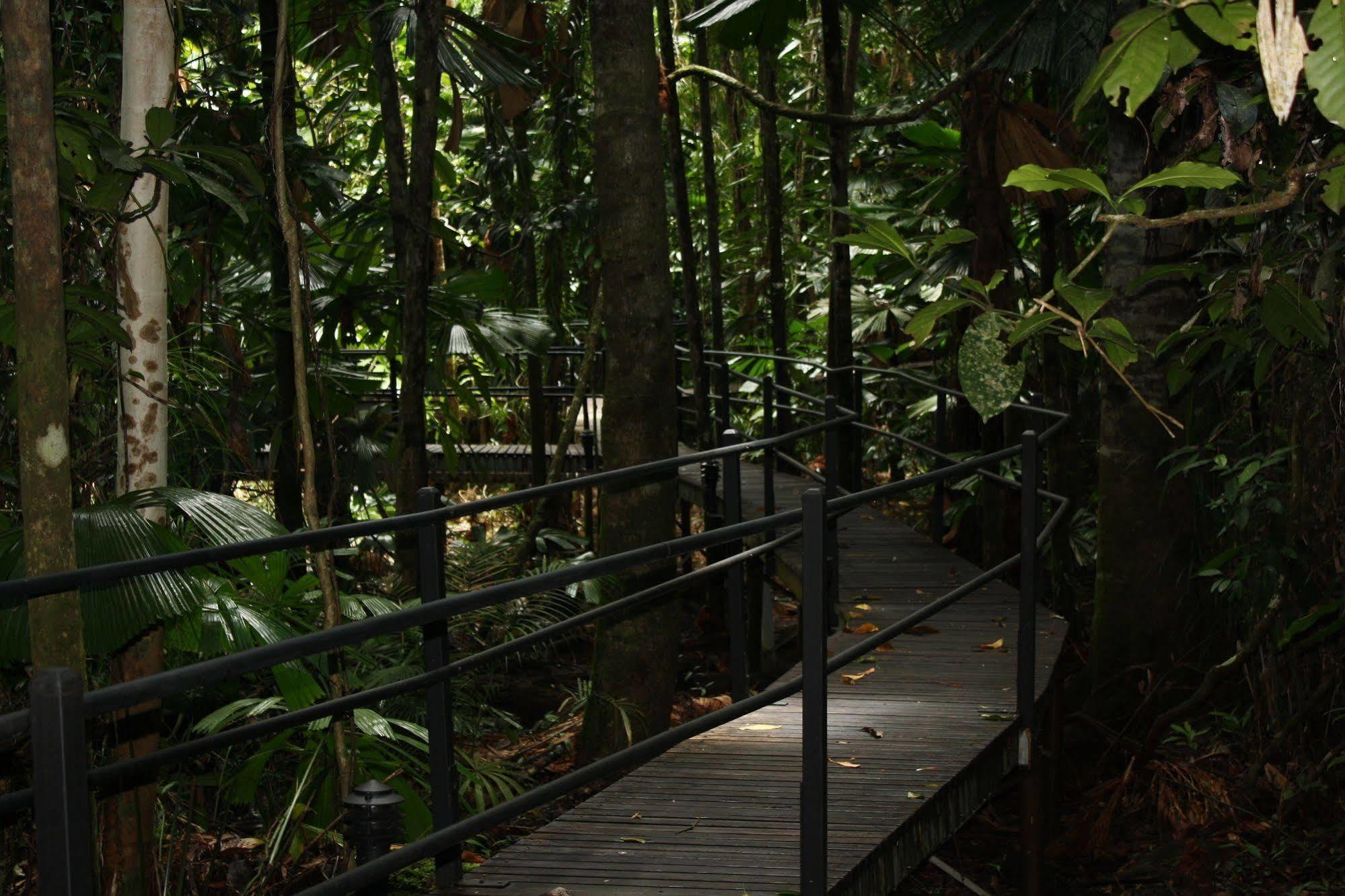 Daintree Wilderness Lodge Exterior photo